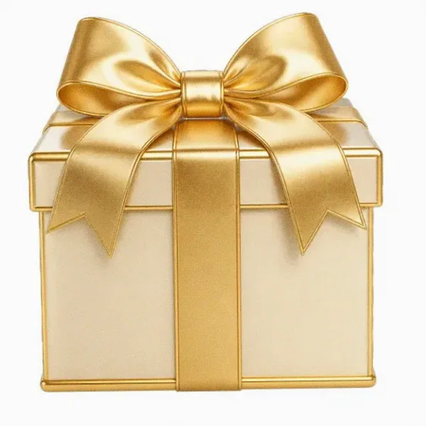 Wrapped gift box — Vegas Hero