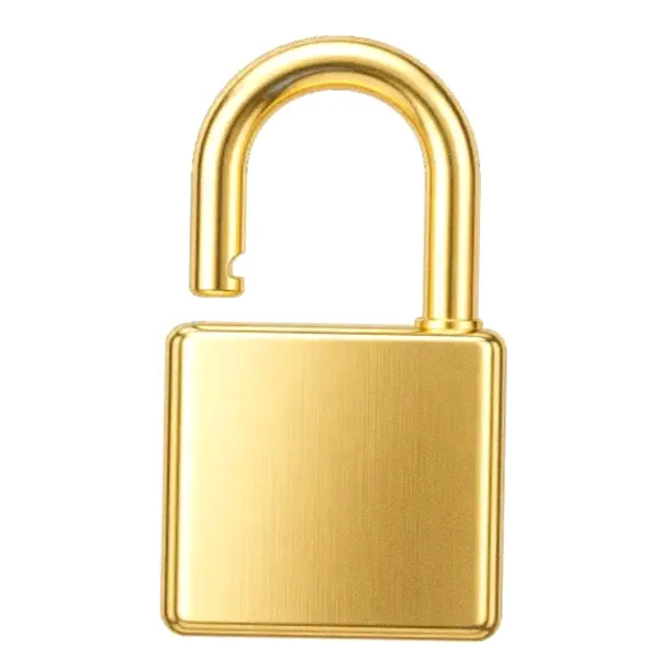 Padlock — Vegas Hero